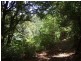 Millaa Millaa QLD 4886