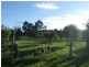 Millaa Millaa QLD 4886