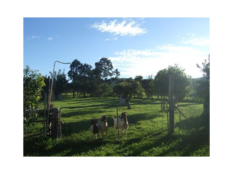 Millaa Millaa QLD 4886