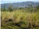 Silkwood QLD 4856