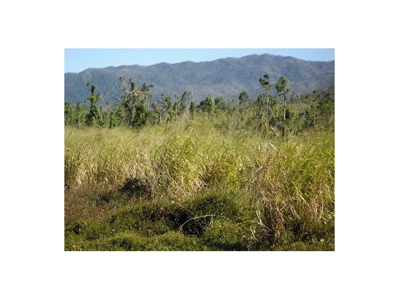 Silkwood QLD 4856