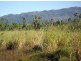 Silkwood QLD 4856