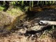 Silkwood QLD 4856