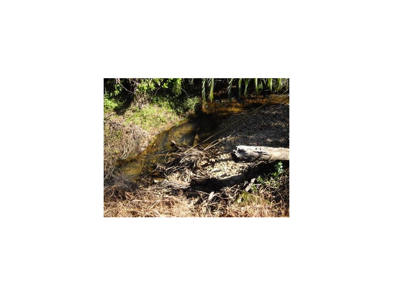 Silkwood QLD 4856