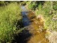 Silkwood QLD 4856