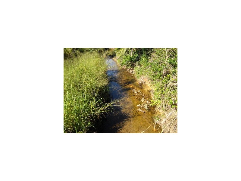 Silkwood QLD 4856