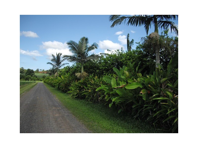 South Johnstone QLD 4859