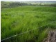South Johnstone QLD 4859