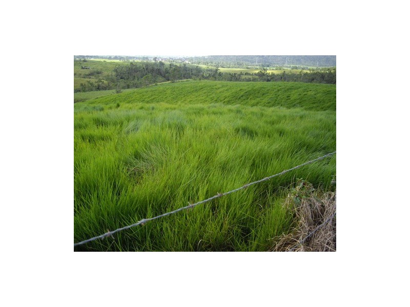 South Johnstone QLD 4859