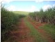 South Johnstone QLD 4859