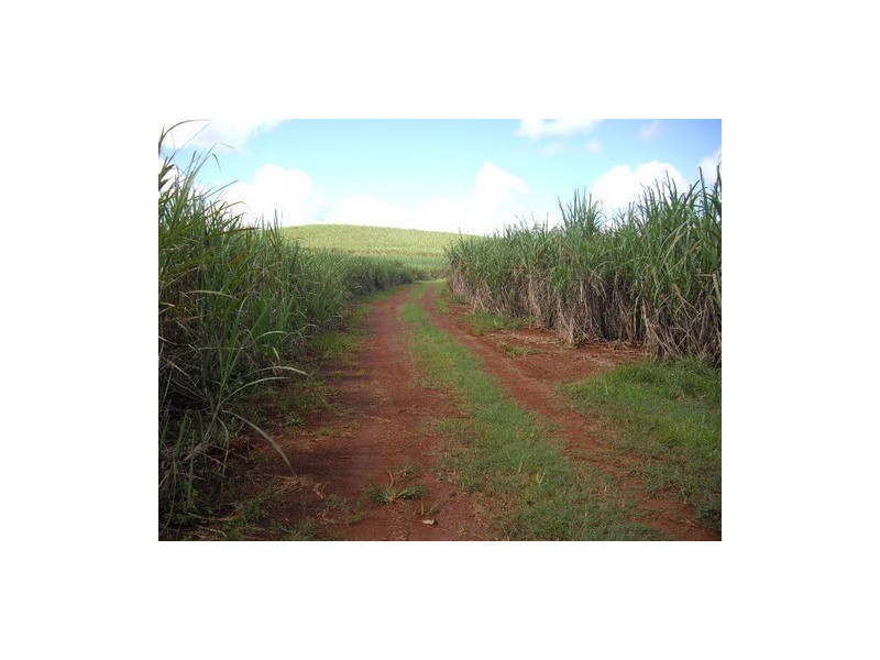 South Johnstone QLD 4859