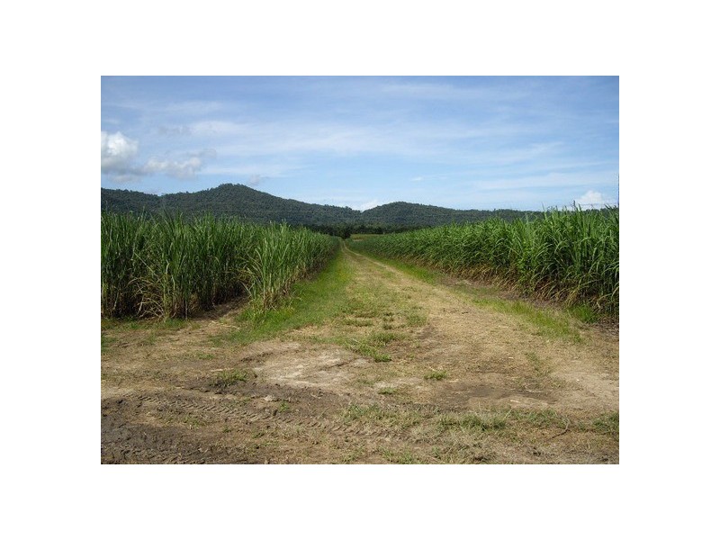 Deeral QLD 4871