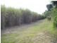 Deeral QLD 4871