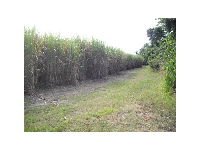 Deeral QLD 4871