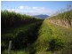 Deeral QLD 4871