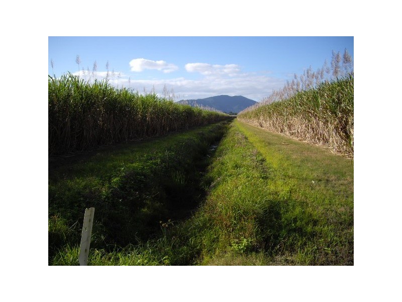 Deeral QLD 4871