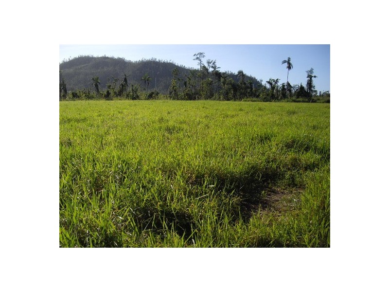 Mena Creek QLD 4871