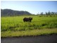 Mena Creek QLD 4871