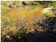 Mena Creek QLD 4871