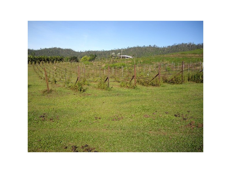 Mena Creek QLD 4871
