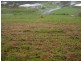 Innisfail QLD 4860