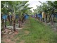 Daradgee QLD 4860