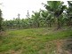 Daradgee QLD 4860