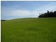 Innisfail QLD 4860