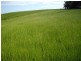 Innisfail QLD 4860