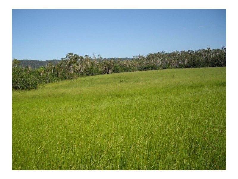 Innisfail QLD 4860