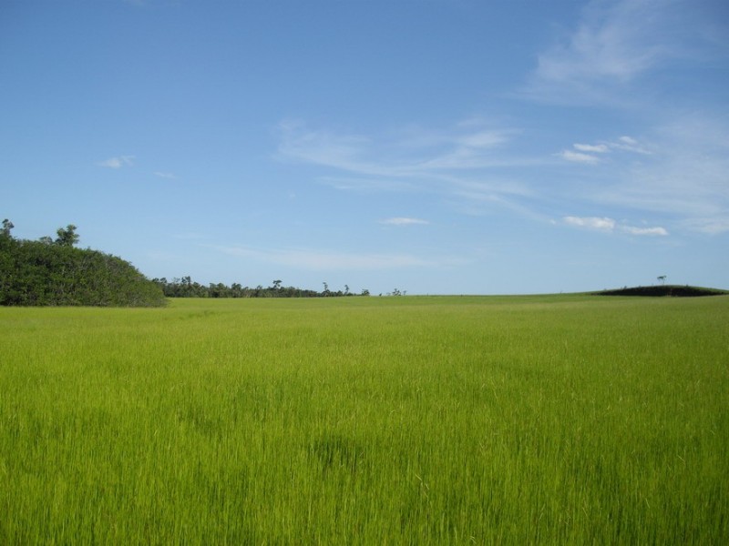 Innisfail QLD 4860