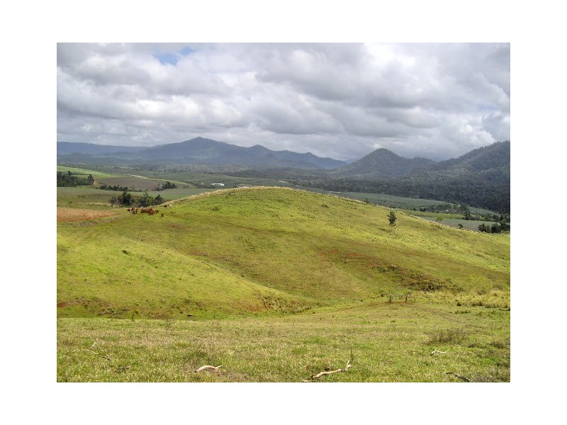 East Palmerston QLD 4860