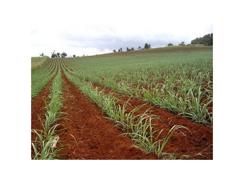 East Palmerston QLD 4860