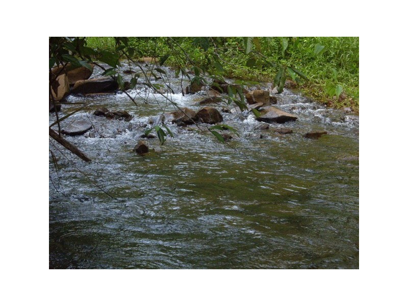 Utchee Creek QLD 4871