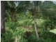 Utchee Creek QLD 4871