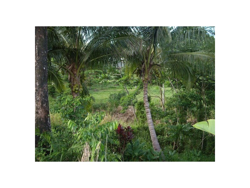 Utchee Creek QLD 4871