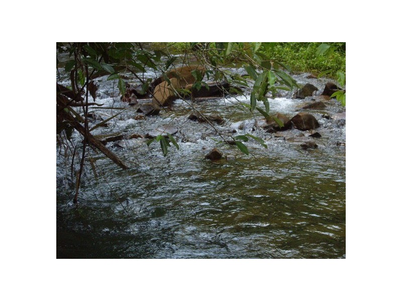 Utchee Creek QLD 4871