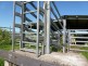 Mena Creek QLD 4871