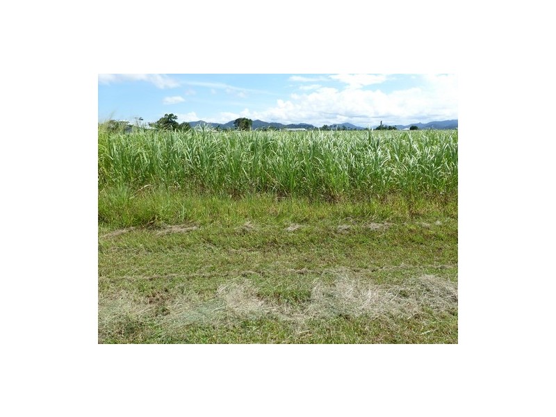 Bartle Frere QLD 4861