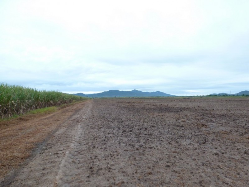 Tully QLD 4854