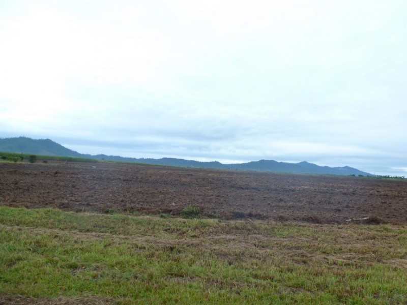 Tully QLD 4854
