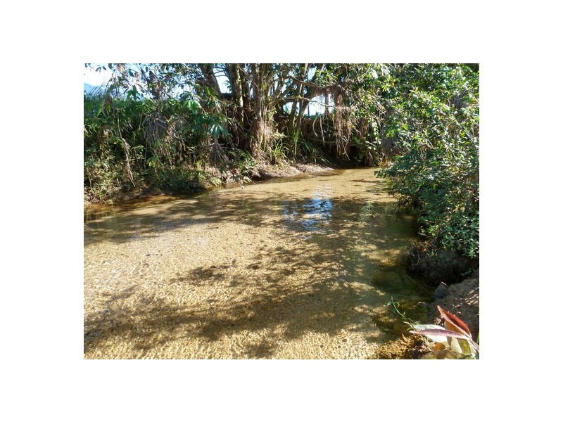 Bellenden Ker QLD 4871