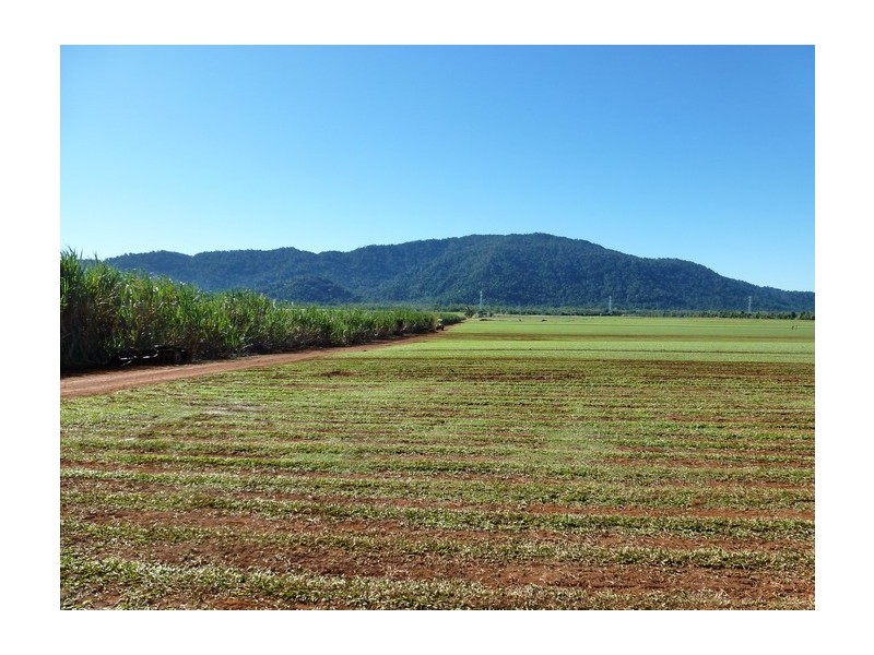 Bellenden Ker QLD 4871