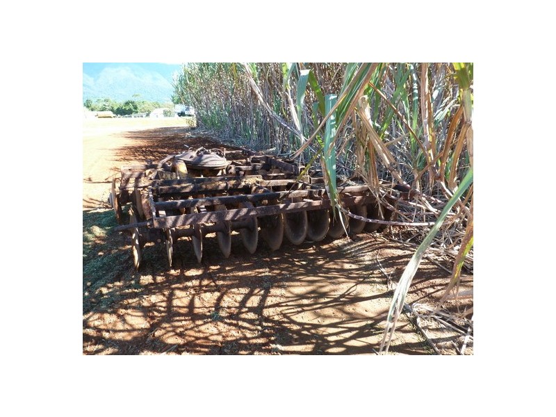 Bellenden Ker QLD 4871