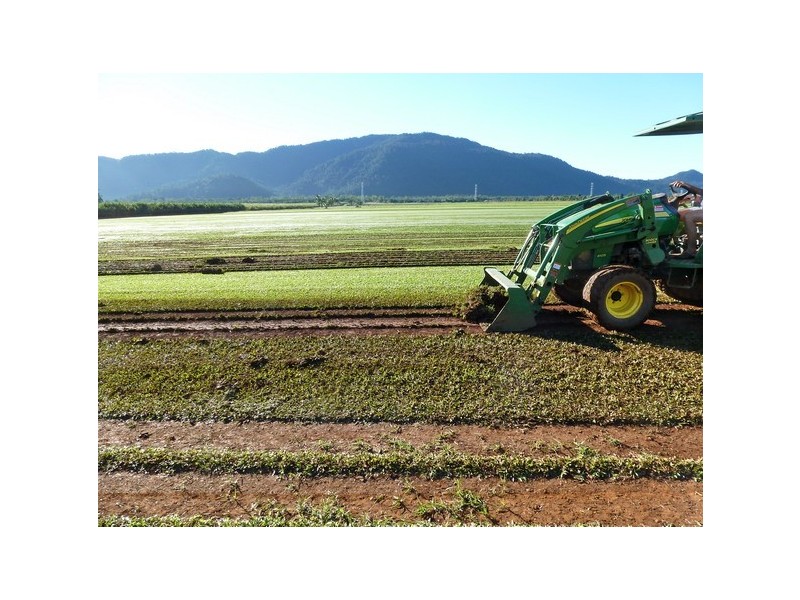 Bellenden Ker QLD 4871