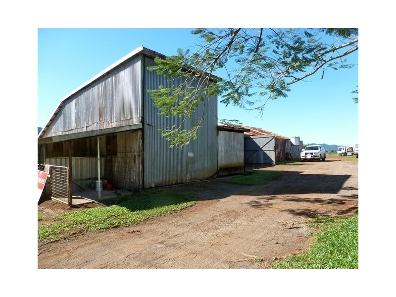 Bellenden Ker QLD 4871