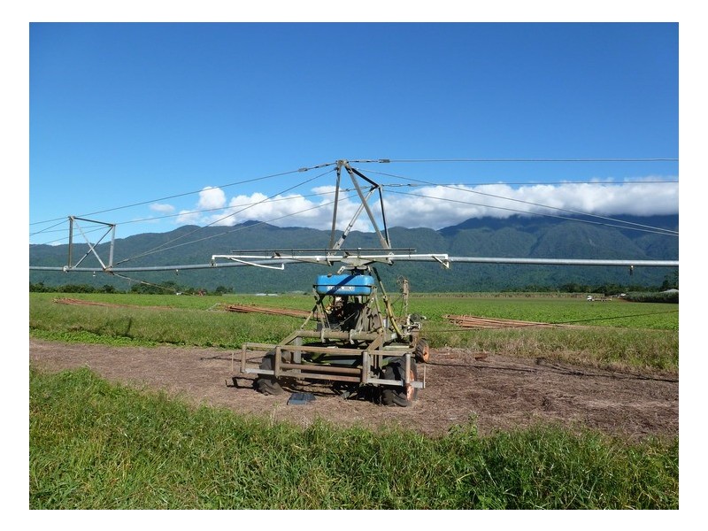 Bellenden Ker QLD 4871