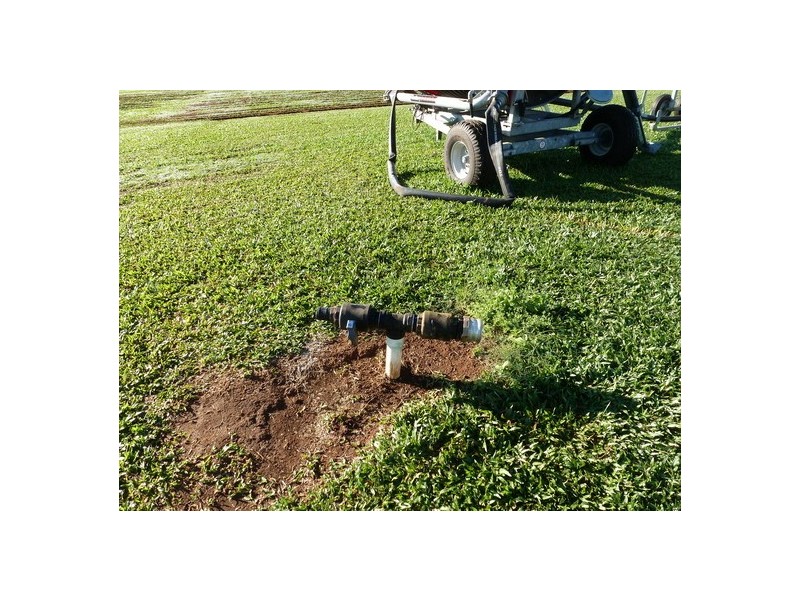 Bellenden Ker QLD 4871