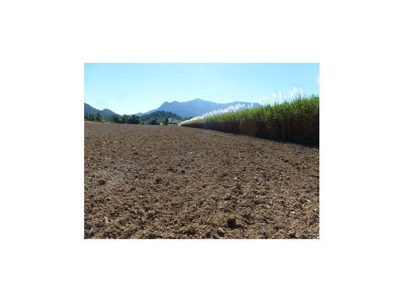 Babinda QLD 4861