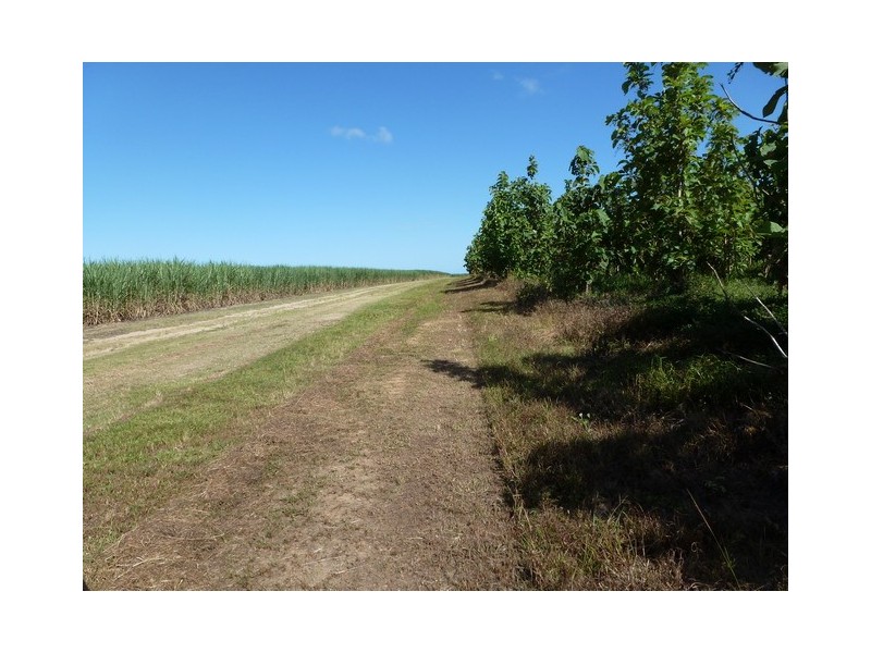 Kurrimine Beach QLD 4871